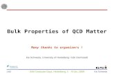 Bulk Properties of QCD Matter