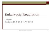 Eukaryotic Regulation
