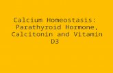 Calcium Homeostasis:  Parathyroid Hormone, Calcitonin and Vitamin D3