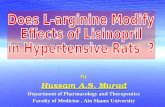 Does L-arginine Modify Effects of Lisinopril in Hypertensive Rats  ?