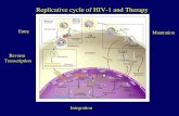 Replicative cycle of HIV-1 and Therapy