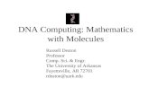 DNA Computing: Mathematics with Molecules