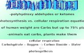 -polyhydroxy aldehydes or ketones -photosynthesis vs. cellular respiration equation