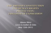 The  British constitution  and human  rights protection :  freedom  of  expression