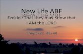 New Life ABF Ezekiel: That they may Know that I AM the LORD