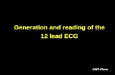 Generation and reading of the 12 lead ECG
