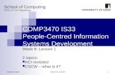 COMP3470 IS33  People-Centred Information Systems Development