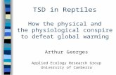 TSD in Reptiles How the physical and the physiological conspire to defeat global warming