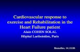 Cardiovascular response to exercise and Rehabilitation in the Heart Failure patient
