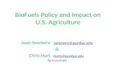 BioFuels Policy and Impact on U.S. Agriculture
