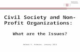 Civil Society and Non-Profit Organizations:   What are the Issues? Helmut K. Anheier, January 2013