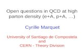 Open questions in QCD at high parton density (e+A, p+A, …)
