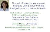 Control of bean thrips in navel oranges using ethyl formate fumigation for export to Australia