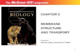 CHAPTER 5 MEMBRANE STRUCTURE AND TRANSPORT Prepared by Brenda Leady,  University of Toledo