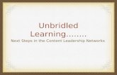 Unbridled Learning........