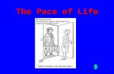 The Pace of Life