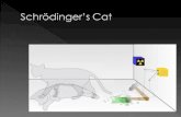 Schrödinger’s Cat