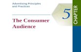 The Consumer  Audience