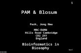 PAM & Blosum