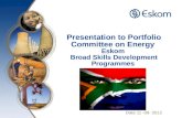Presentation to Portfolio Committee on Energy  Eskom  Broad Skills Development Programmes