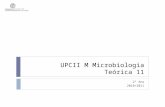 UPCII M Microbiologia Teórica 11