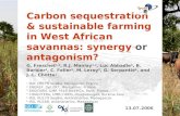Carbon sequestration & sustainable farming in West African savannas: synergy  or  antagonism?