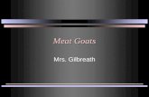 Meat Goats