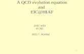 A QCD evolution equation  and  EIC@HIAF
