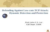 Defending Against Low-rate TCP Attack: Dynamic Detection and Protection