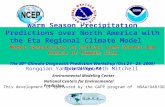 Warm Season Precipitation Predictions over North America with the Eta Regional Climate Model