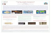 Seismic Image Processing  by Wavelet Transform Sunjay Geophysics,BHU, Varanasi-221005,India