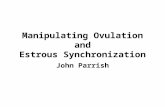 Manipulating Ovulation and Estrous Synchronization