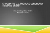 Should the U.S. produce Genetically Modified Crops?