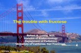 The trouble with fructose