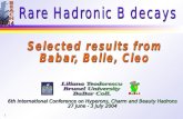 Rare Hadronic B decays