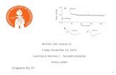Bi/CNS 150 Lecture 21       Friday November 15, 2013 Learning & Memory 1.  Synaptic plasticity