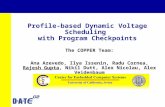 Profile-based Dynamic Voltage Scheduling  with Program Checkpoints