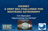 KM3NeT  a Deep Sea Challenge for neutrino astronomy
