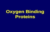 Oxygen Binding Proteins