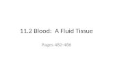 11.2 Blood:  A Fluid Tissue