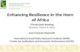 Enhancing R esilience  in the Horn of  Africa