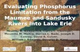 Evaluating  Phosphorus Limitation from the Maumee and Sandusky Rivers into Lake Erie