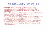 Vocabulary Unit 14