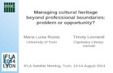 Managing cultural heritage beyond professional boundaries:  problem or opportunity?