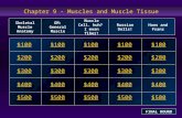 Chapter 9 - Muscles and Muscle Tissue