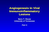 Angiogenesis in Viral Immunoinflammatory Lesions