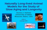 Naturally Long-lived Animal Models for the Study of  Slow Aging and Longevity Donna J. Holmes
