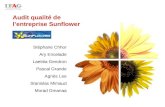 Audit qualité de l’entreprise Sunflower