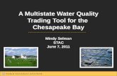 A Multistate Water Quality Trading Tool for the  Chesapeake Bay  Mindy Selman  STAC June 7, 2011