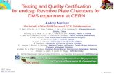 Testing and Quality Certification for endcap Resistive Plate Chambers for CMS experiment at CERN